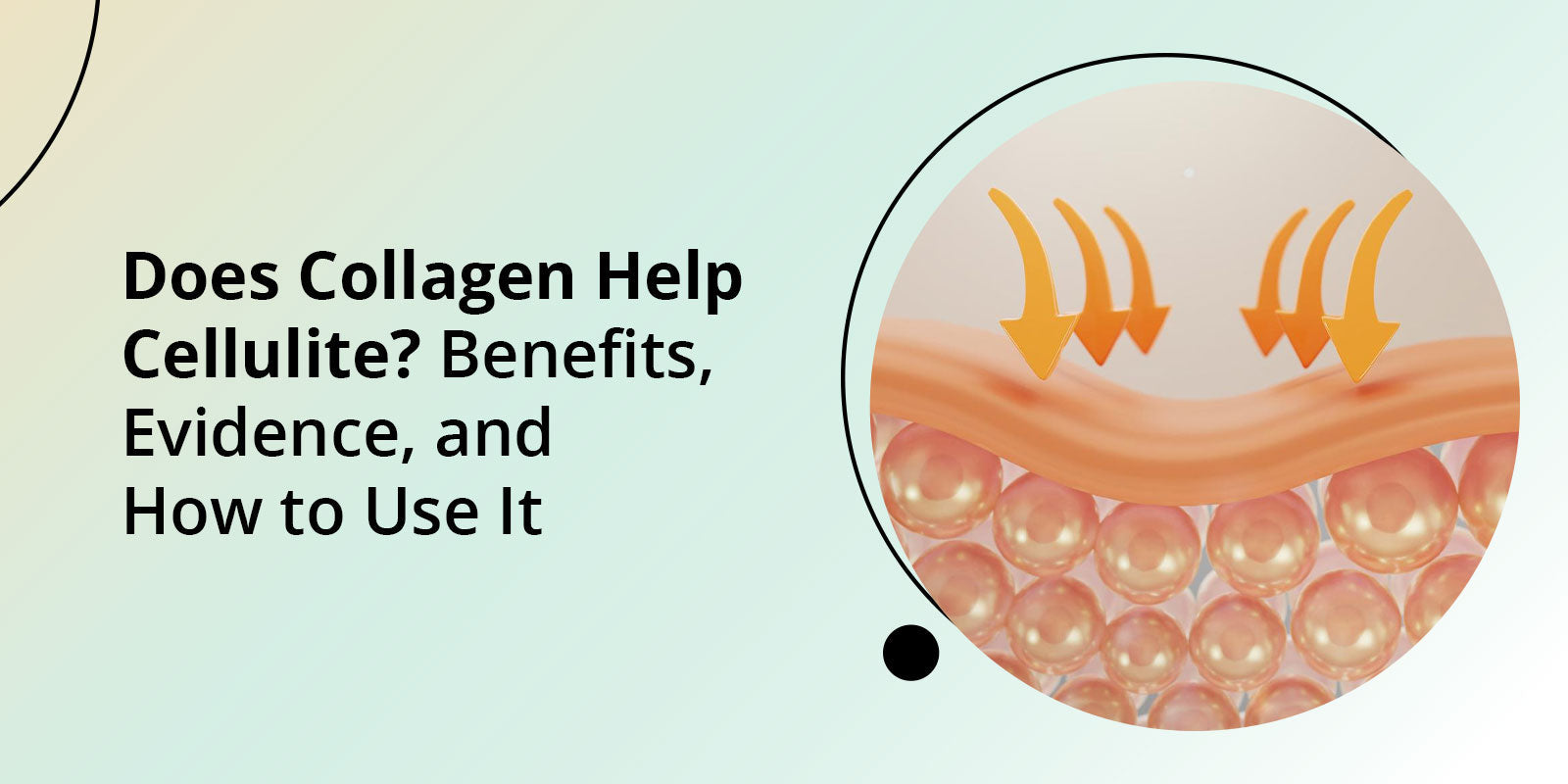 Does Collagen Help Cellulite? Benefits, Evidence, and How to Use It