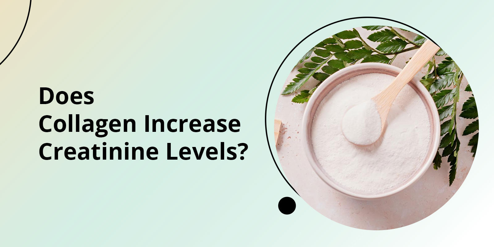 Does Collagen Increase Creatinine Levels?