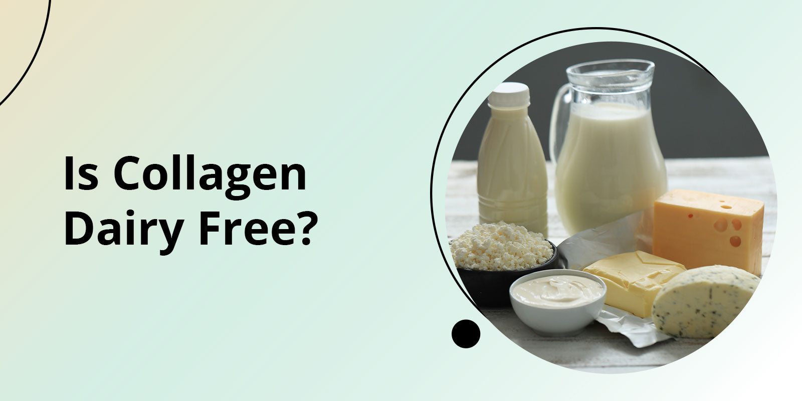 Is Collagen Dairy Free?